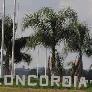 Comienza la promo #TNenConcordia