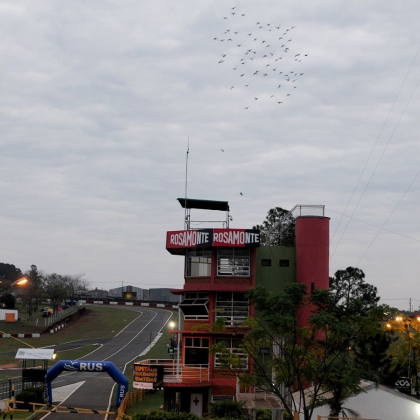 Imagen de galería